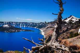 Crater Lake-0276 Crater Lake-0276